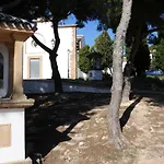Saladar Javea